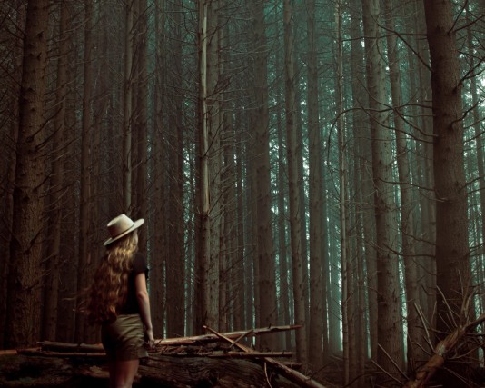 Person in a forest looking upwards