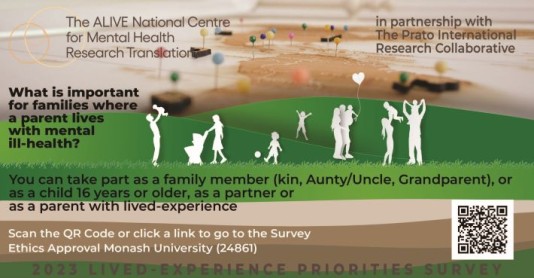SANE Bridging the Gaps 2023 survey link
